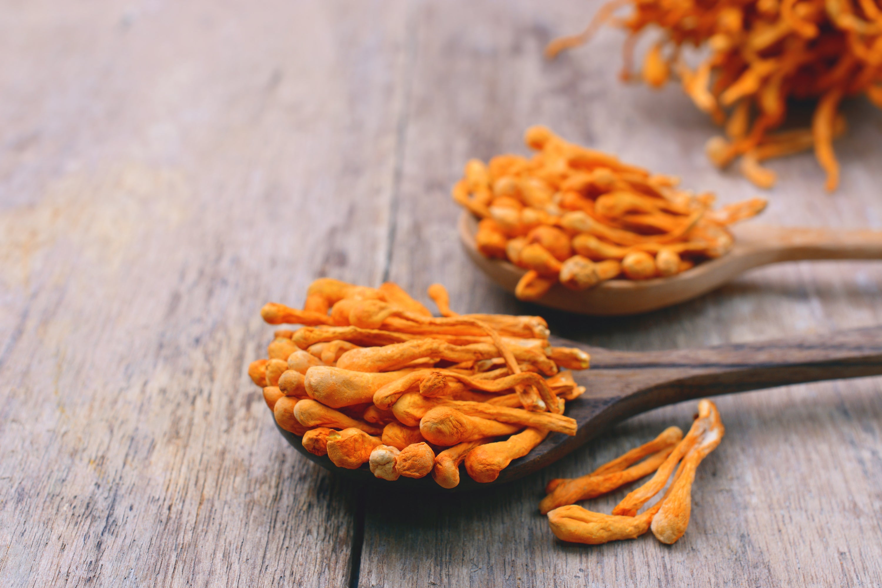 Elevate Your Mind and Body with Cordyceps: Unleashing Peak Performance and Vitality